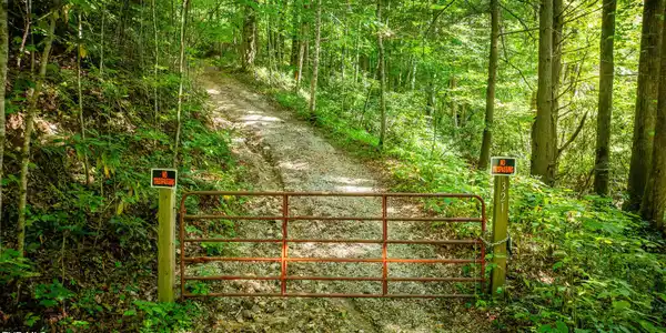 321 Browns Branch Road