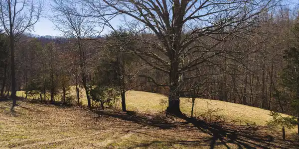 Image 4: DJI_20260227114754_0431_D