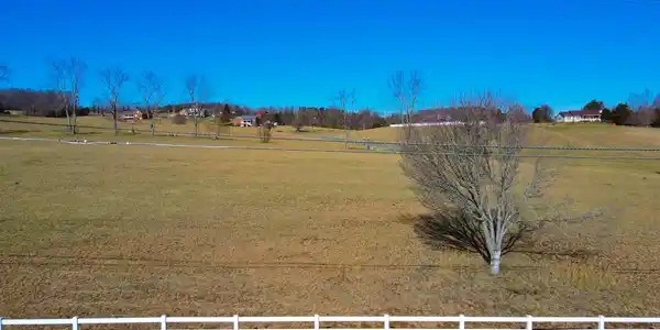 Image 2: 4 Close up 2