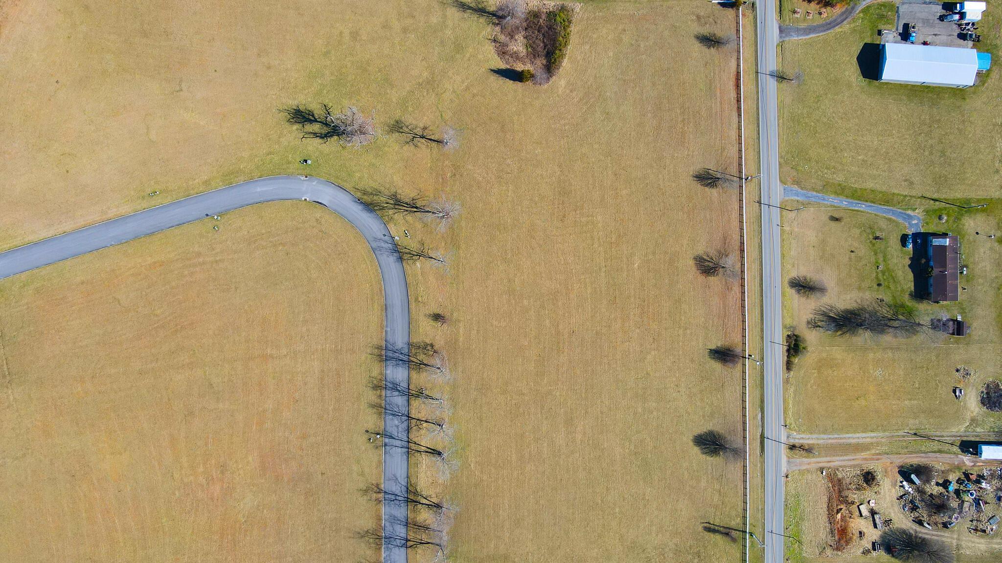 Image 4: 2-5 _10-12 Birds Eye
