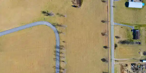 Image 4: 2-5 _10-12 Birds Eye