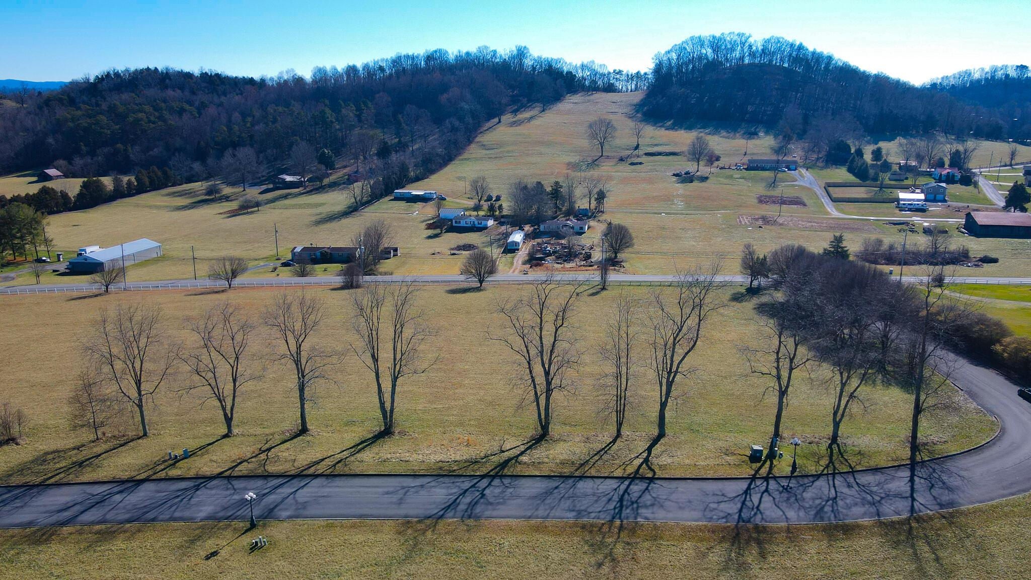 Image 3: 8-10 Aerial Frontal