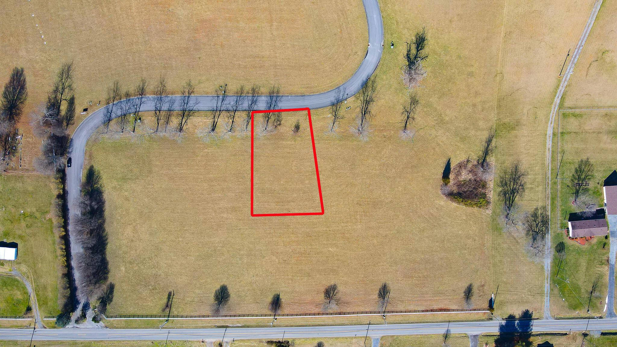 Image 1: 11 Birds Eye w PL
