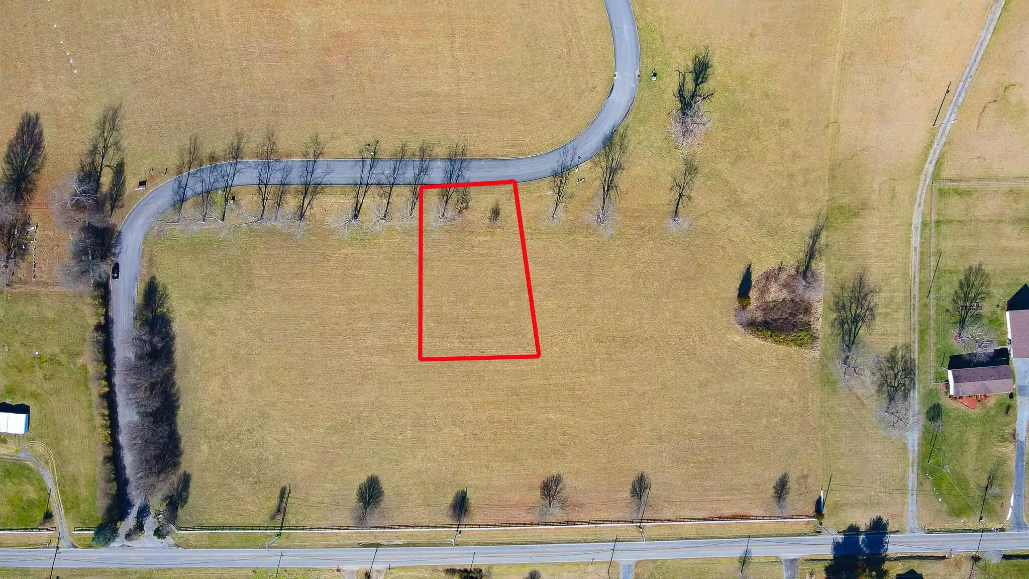 Image 1: 11 Birds Eye w PL