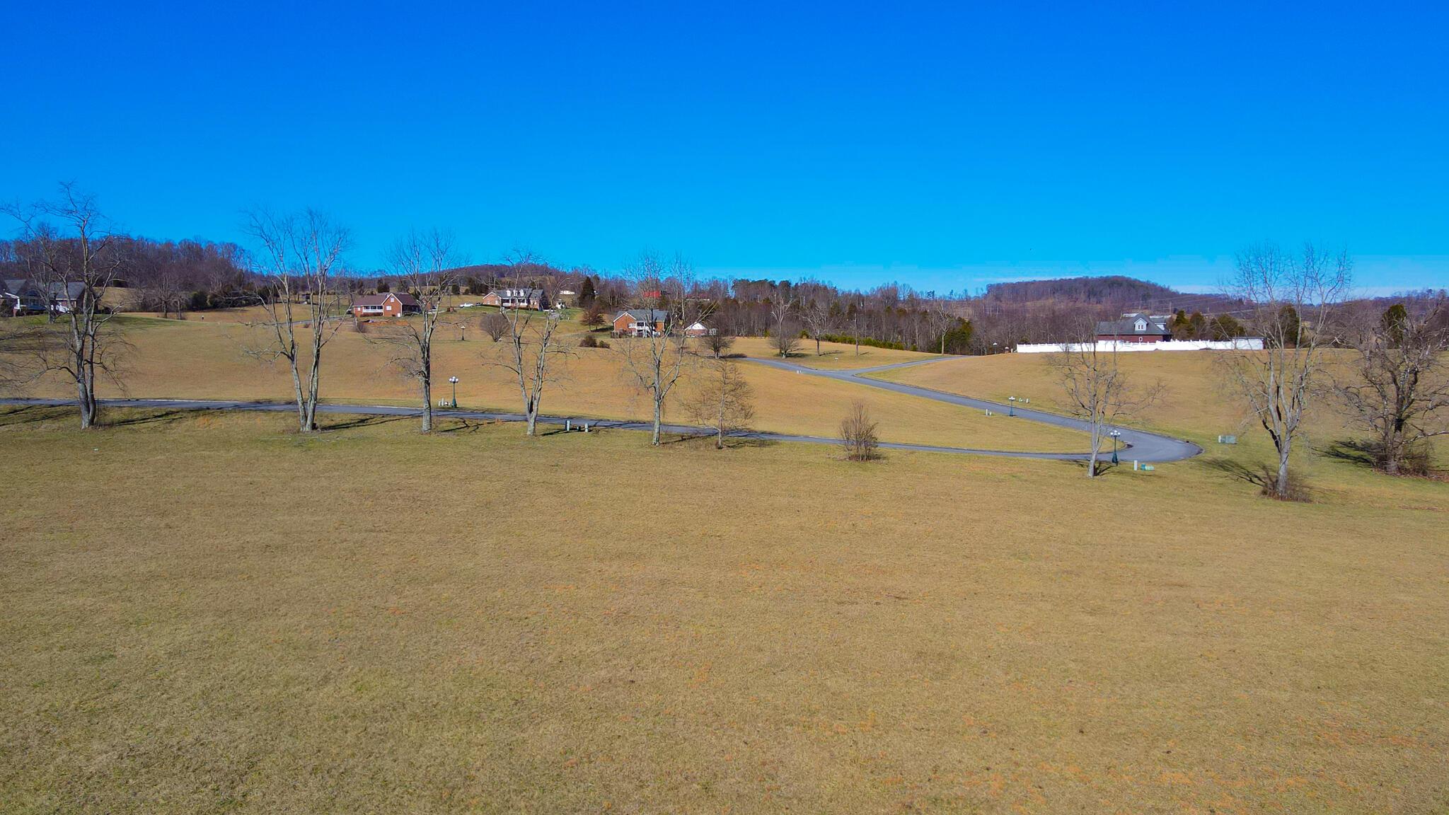 Image 3: 11-12 Close up behind