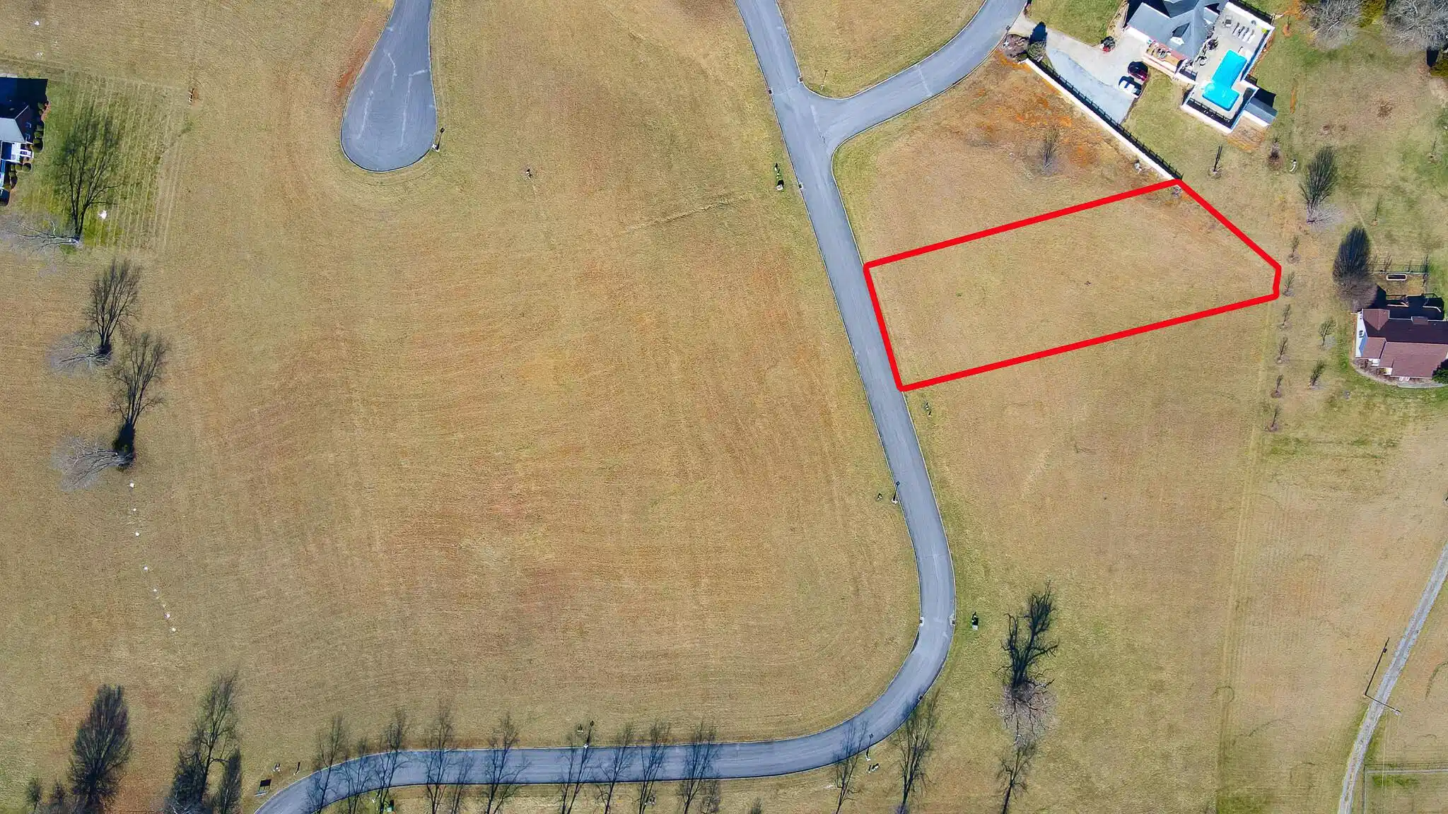 Image 1: 17 Birds Eye w PL