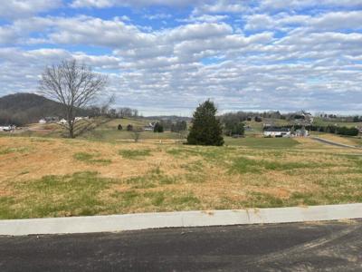 Lot 32 Cattleman's Trail