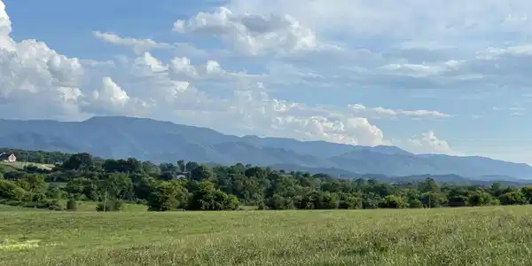 150 Lester Snapp Lot 2 - 10 Acres Road