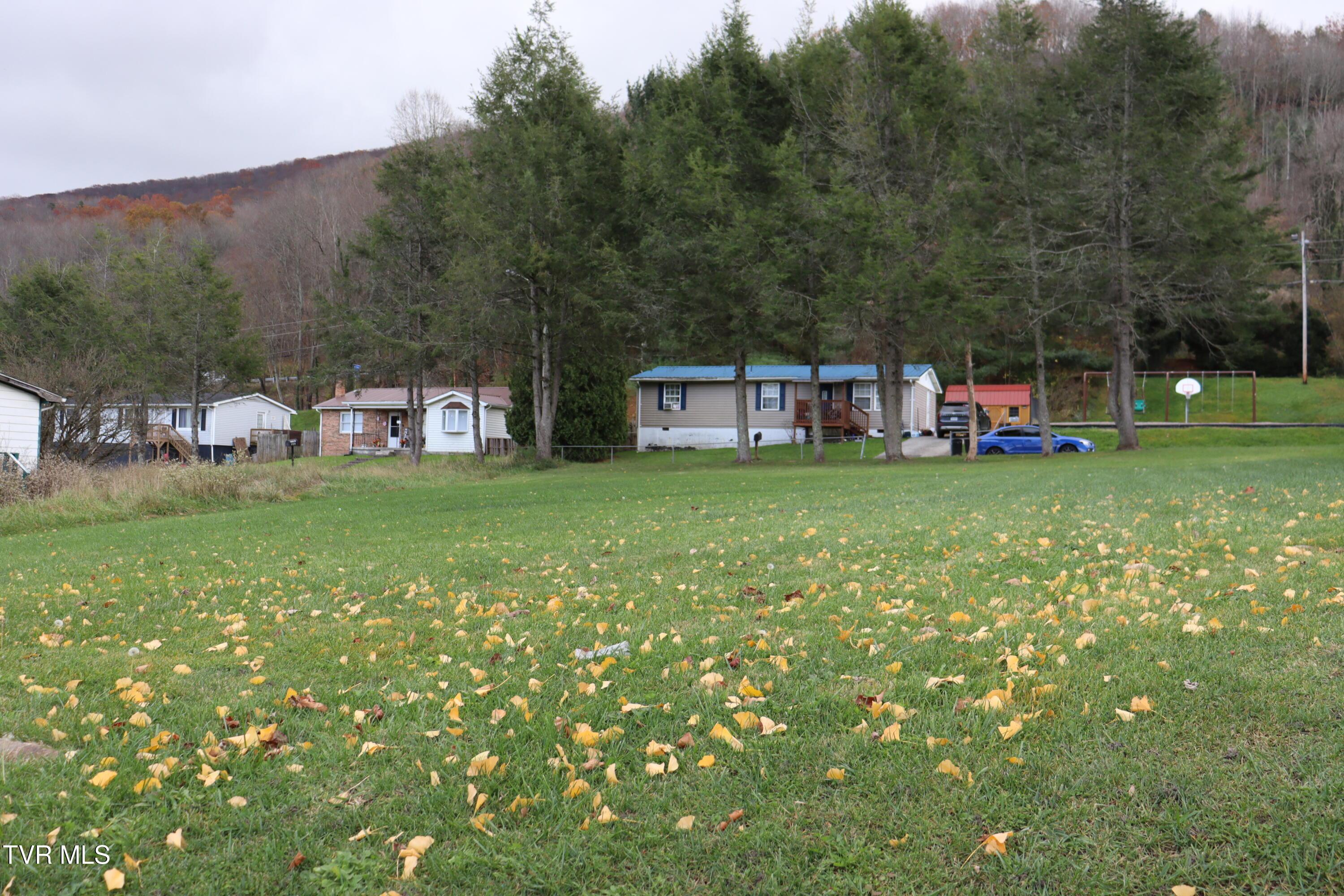 Image 3: IMG_8895