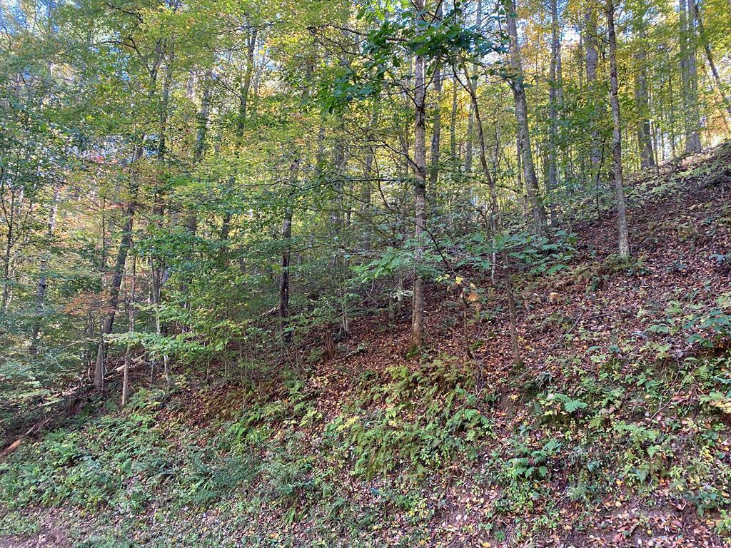 Image 1: CAN5