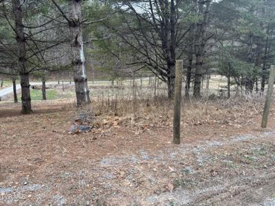 00 Greer Branch Road