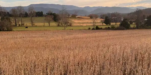 5-Ac Pleasant Hill Road