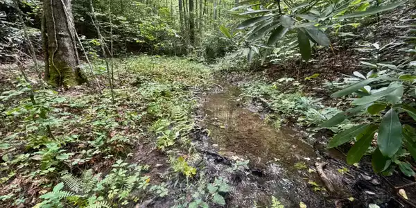 Image 2: _Pic3 (88)
