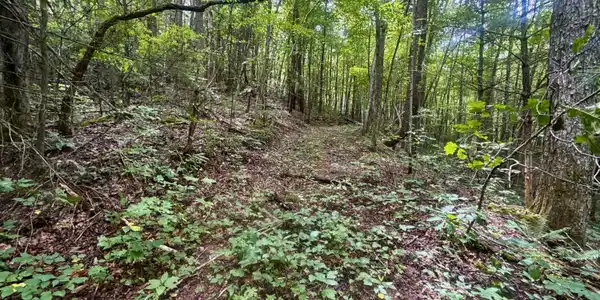 Image 3: _Pic4 (80)