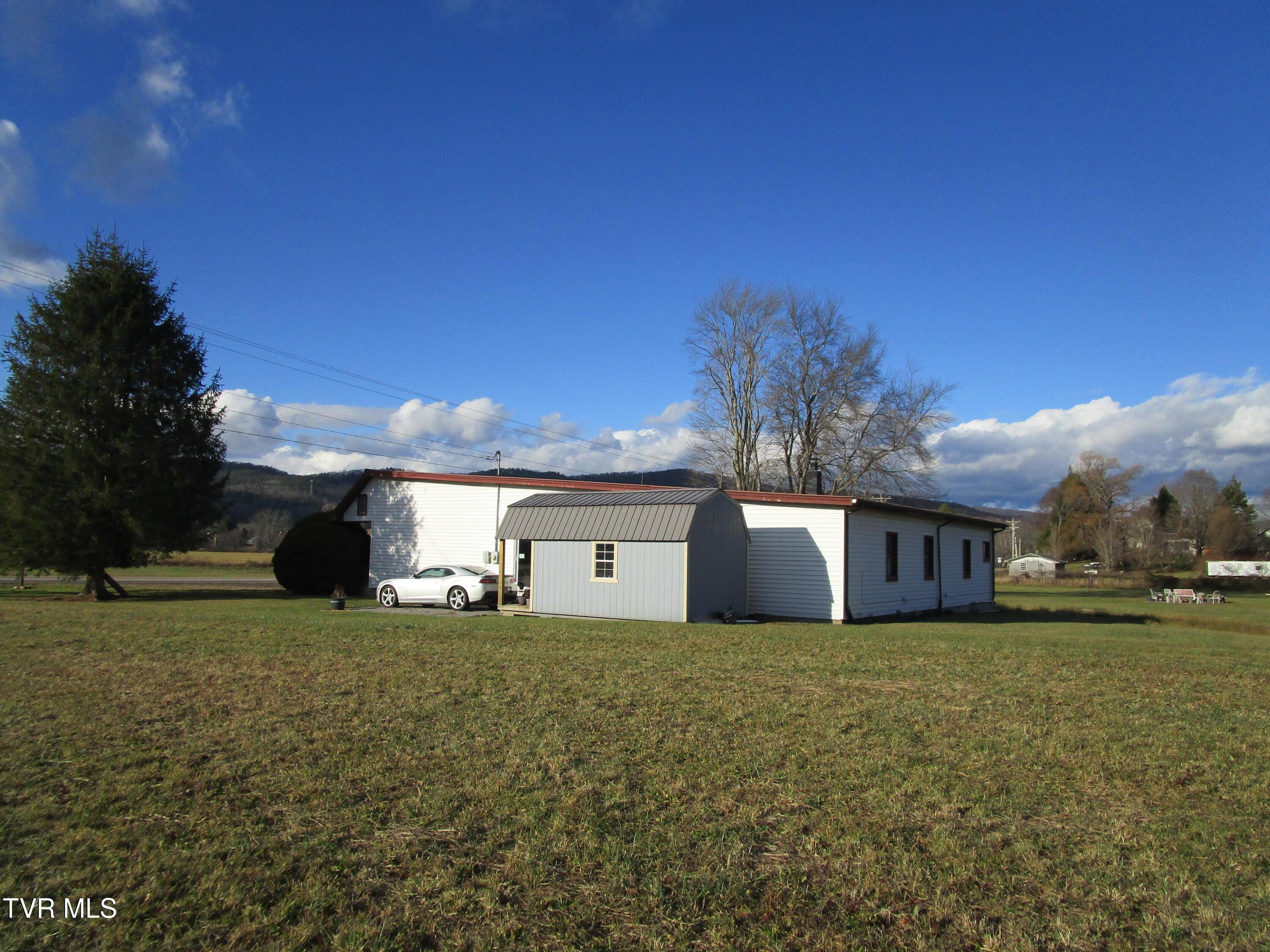 Image 4: IMG_6833