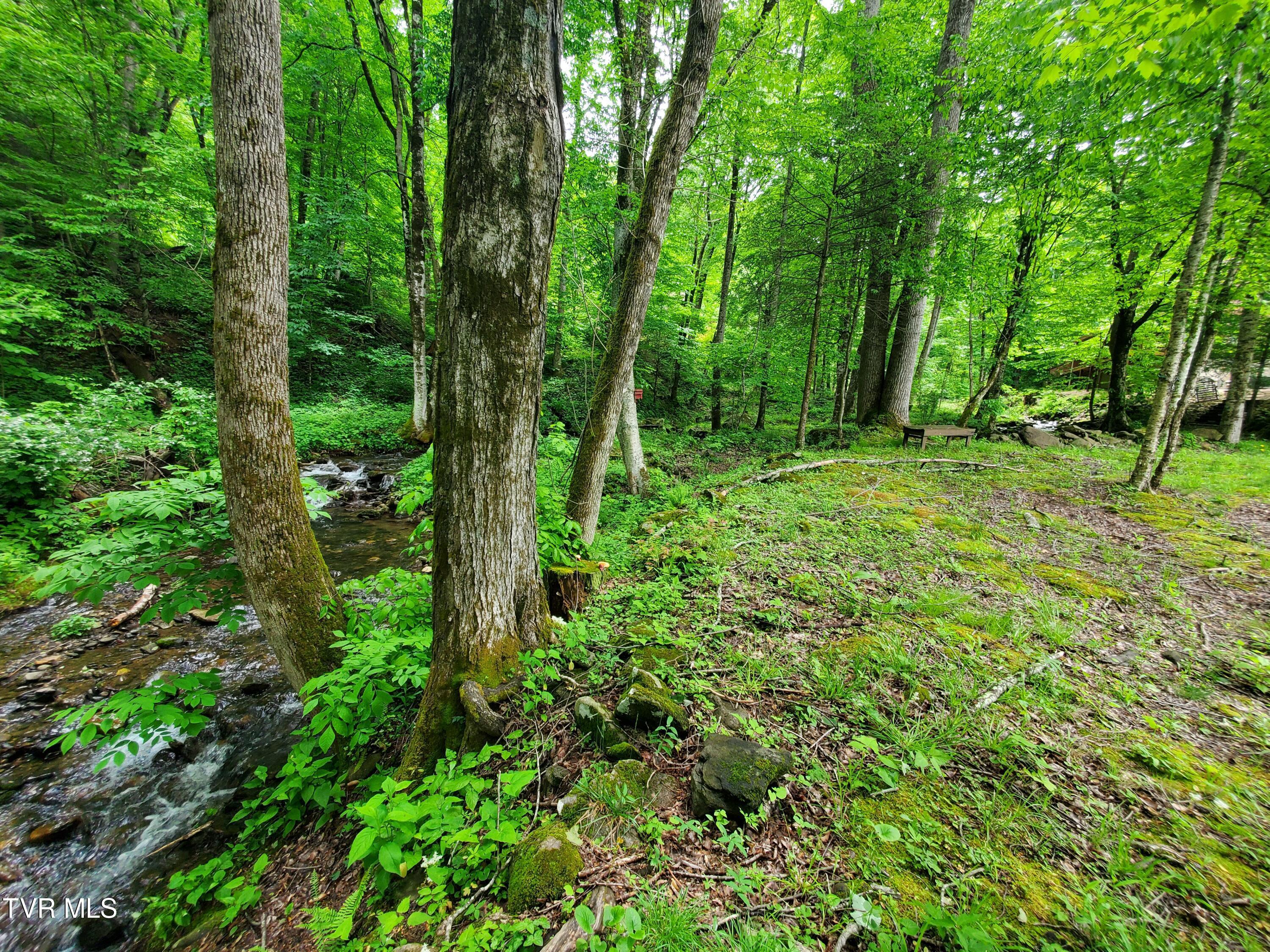 Image 4: 20240516_141951