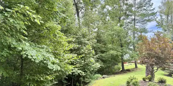Lot 30 Rock Island
