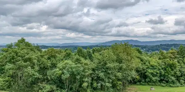 119 Simmons Ridge