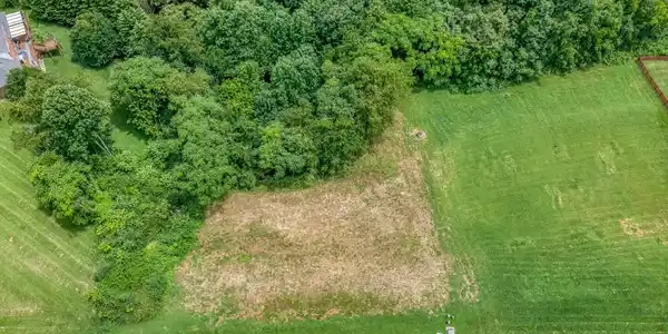 Image 3: 119 Simmons Ridge-1