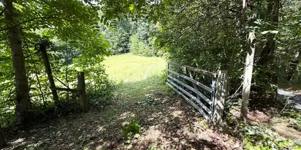 1461 Ponderosa Road