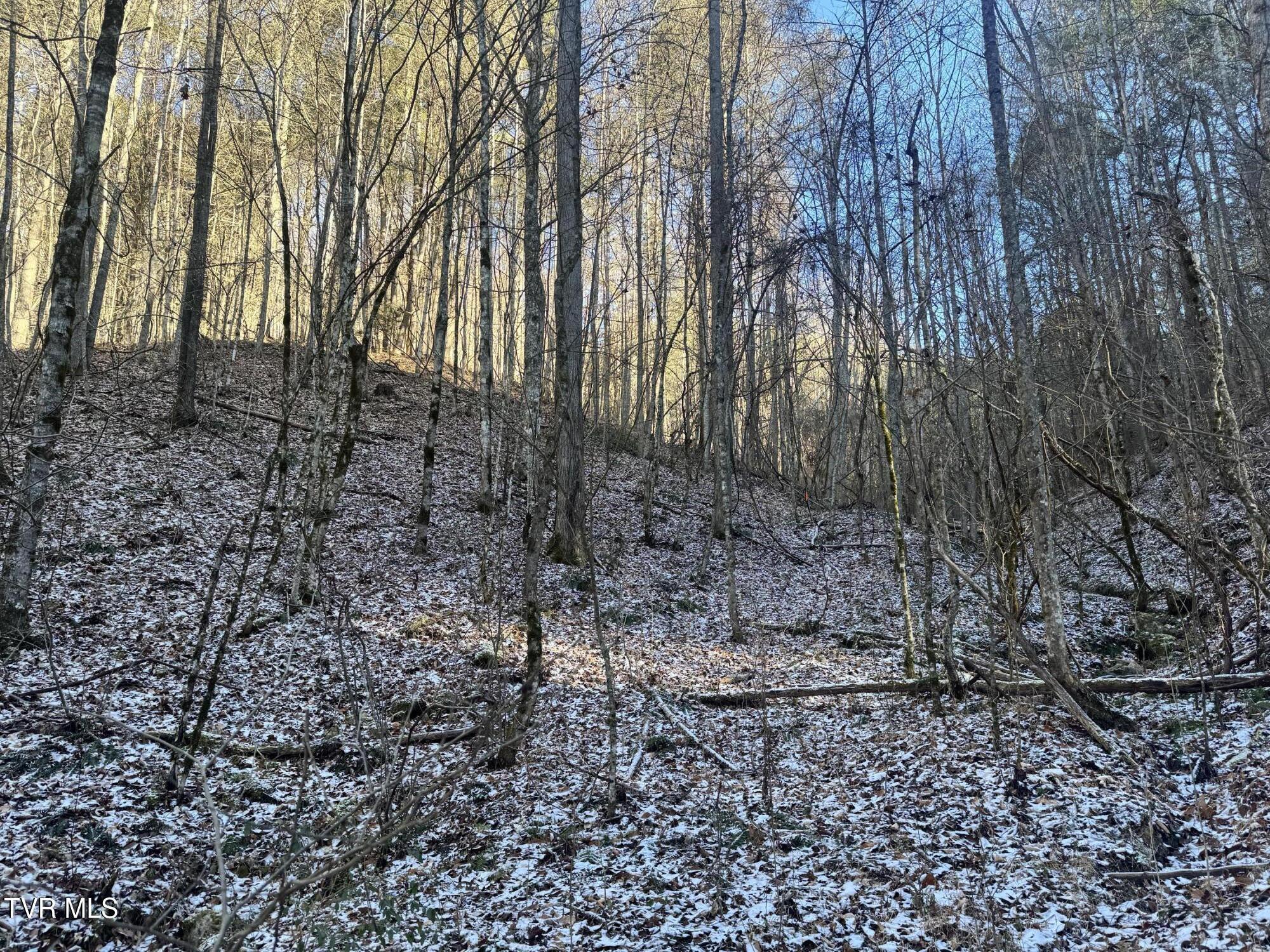 Image 2: IMG_5034