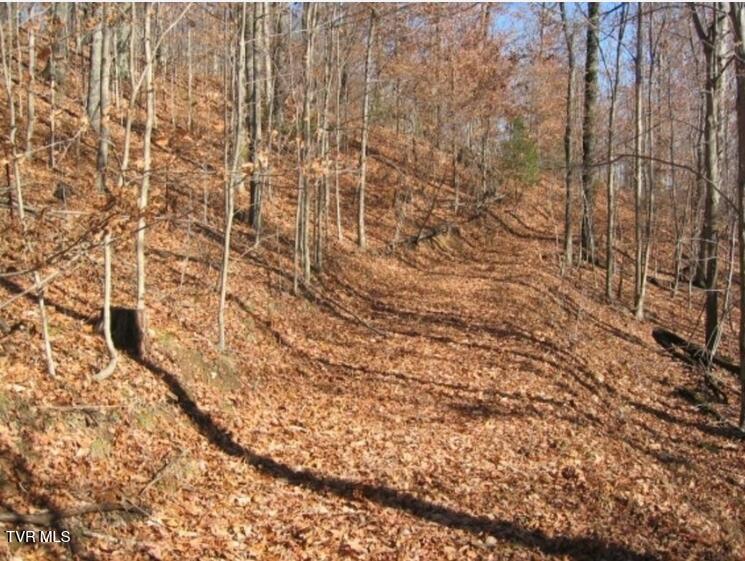 Image 2: Bailey Cemetery Rd 6