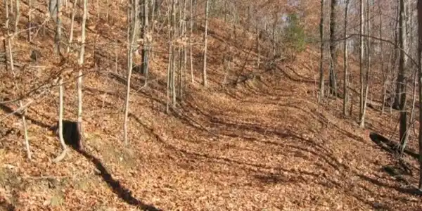 Image 2: Bailey Cemetery Rd 6