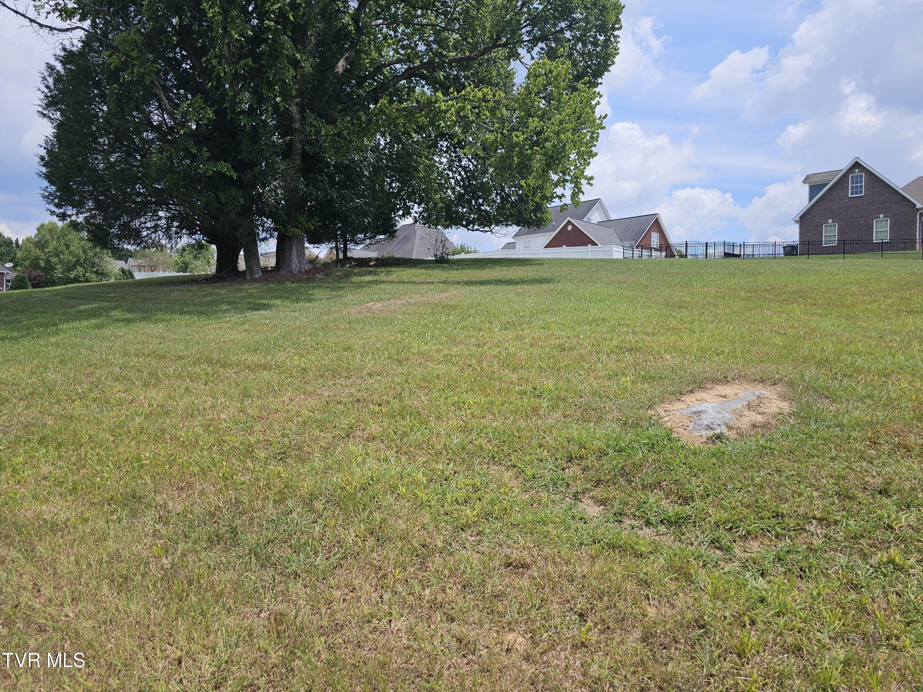 Image 2: 20240708_125533