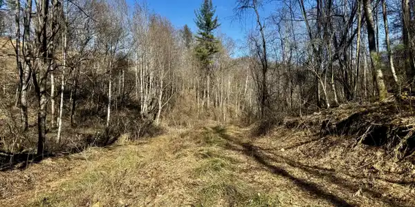 207/Ac Tbd Highway 421