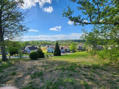 1253 Skyline Drive