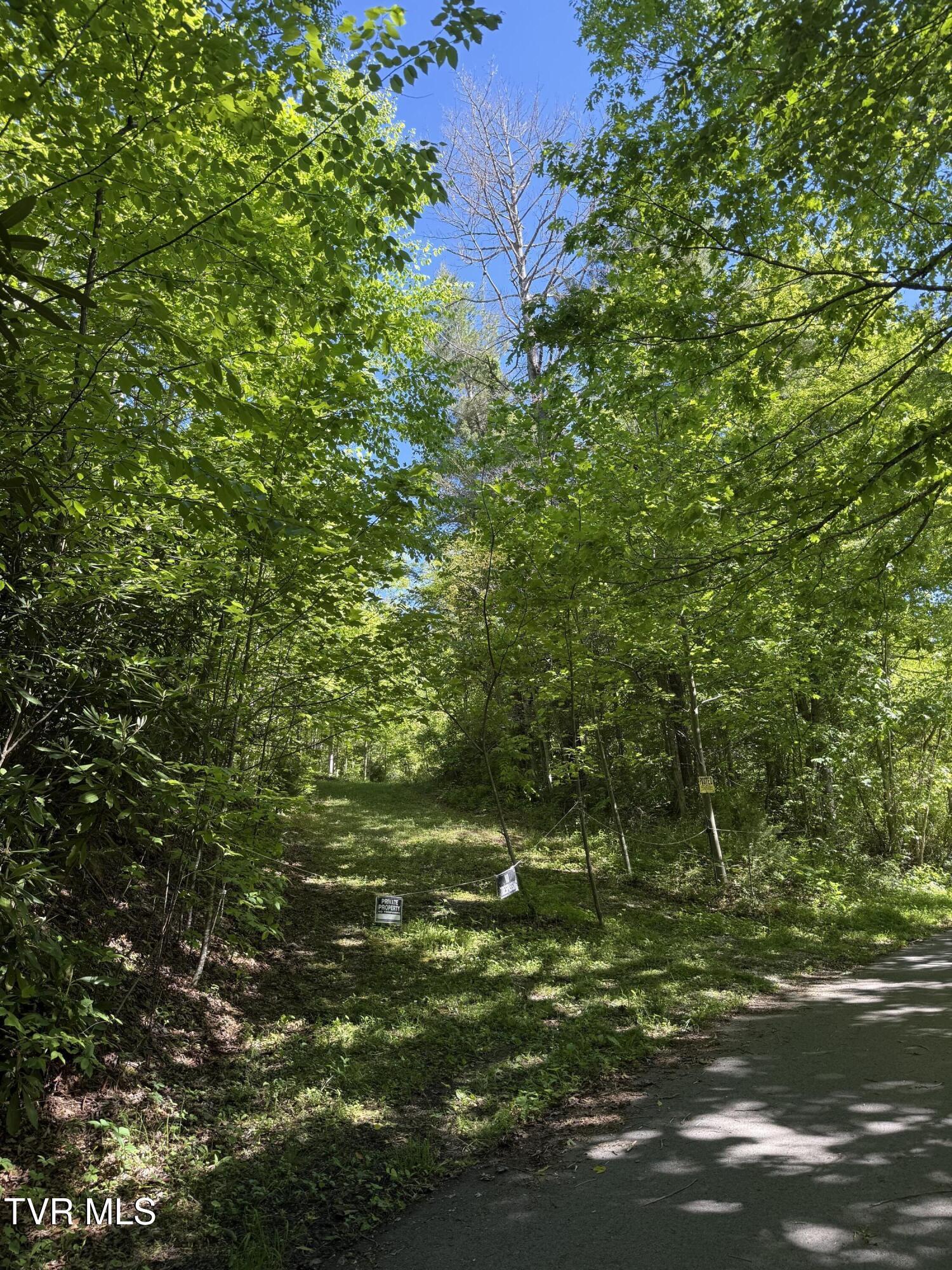 Image 2: IMG_1277