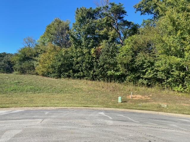 Image 3: Lot 55