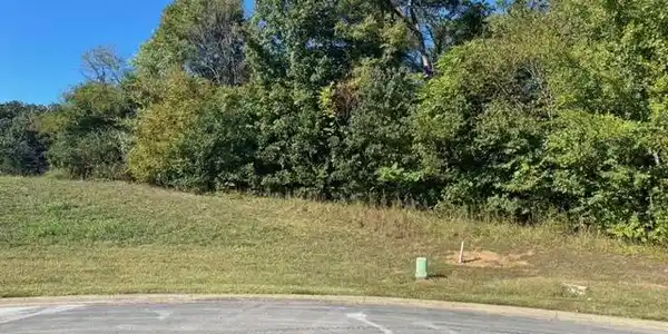 Image 3: Lot 55