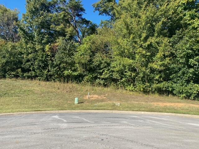Image 4: Lot 55