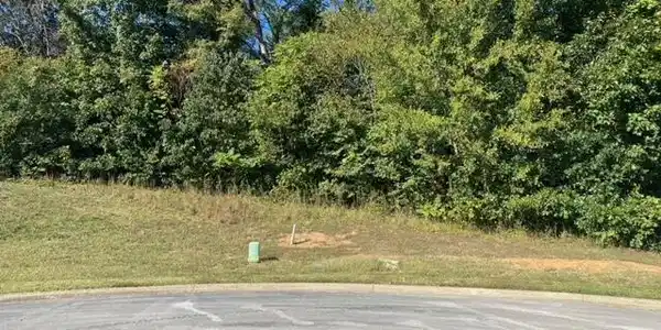 Image 4: Lot 55