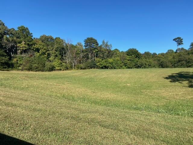 Image 3: Lot 58 2
