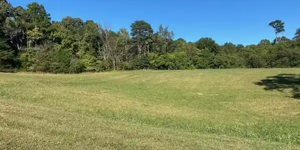 Image 3: Lot 58 2