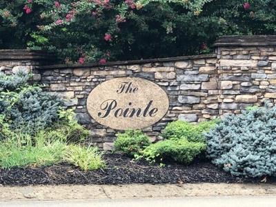 1 River Pointe Drive