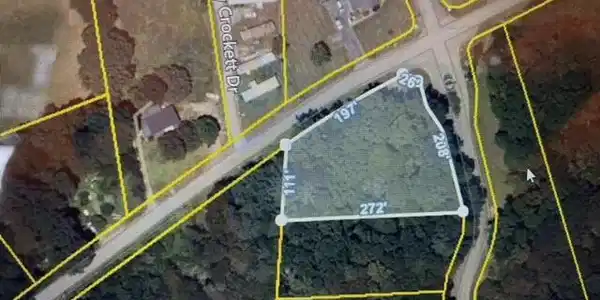Image 3: Lot 1