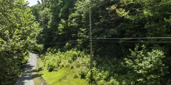 263 Rocky Branch Road