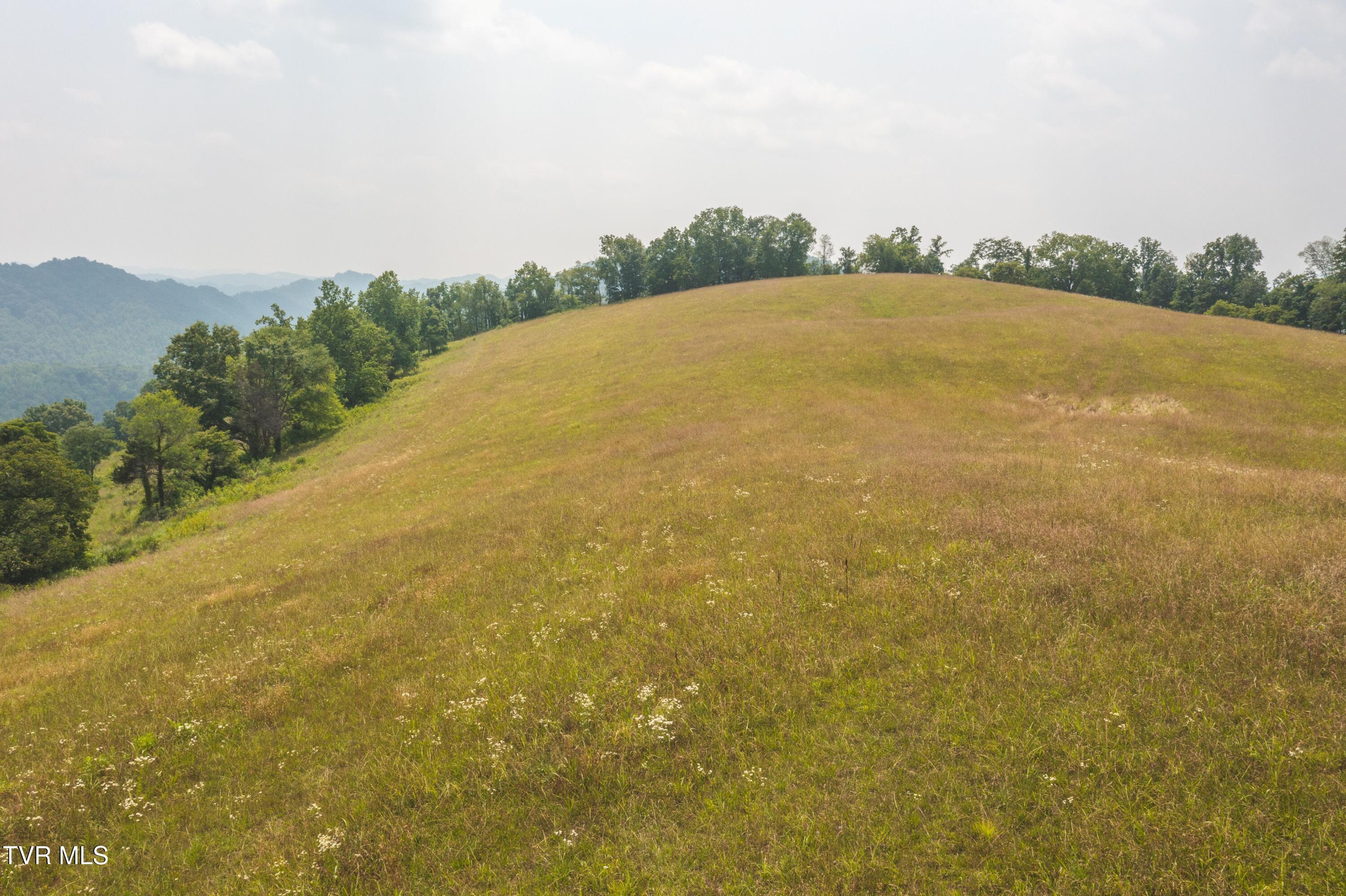 Image 3: DJI_0785