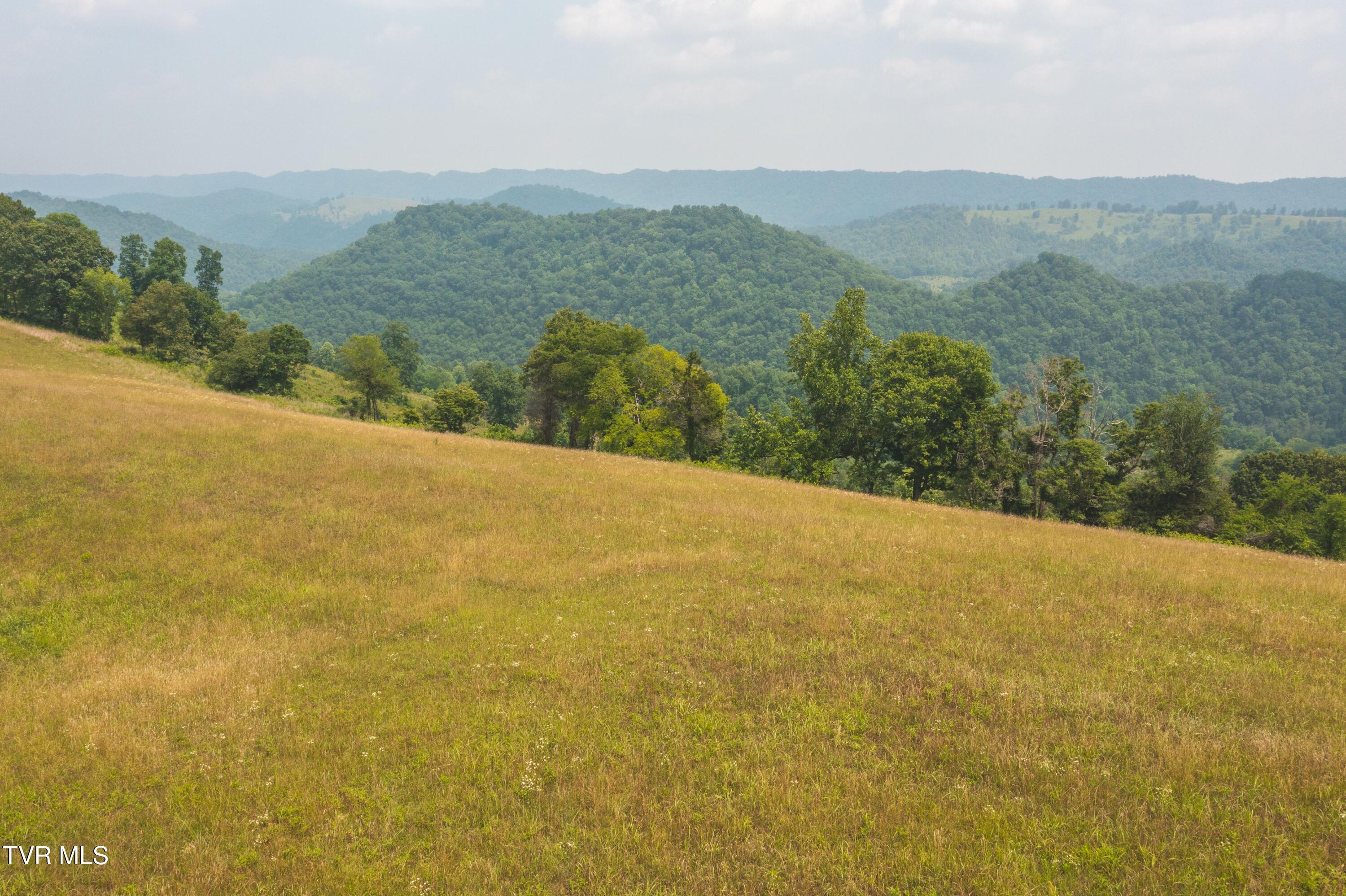 Image 4: DJI_0788