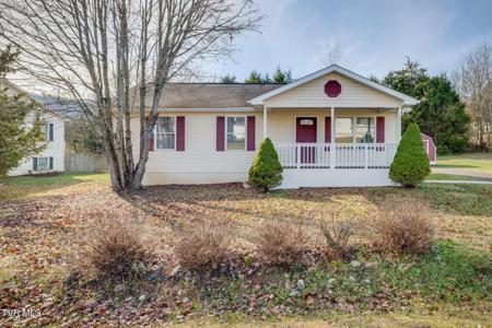 323 Mountain Ash Drive