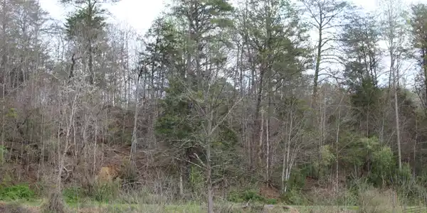 001 Reeds Creek Road