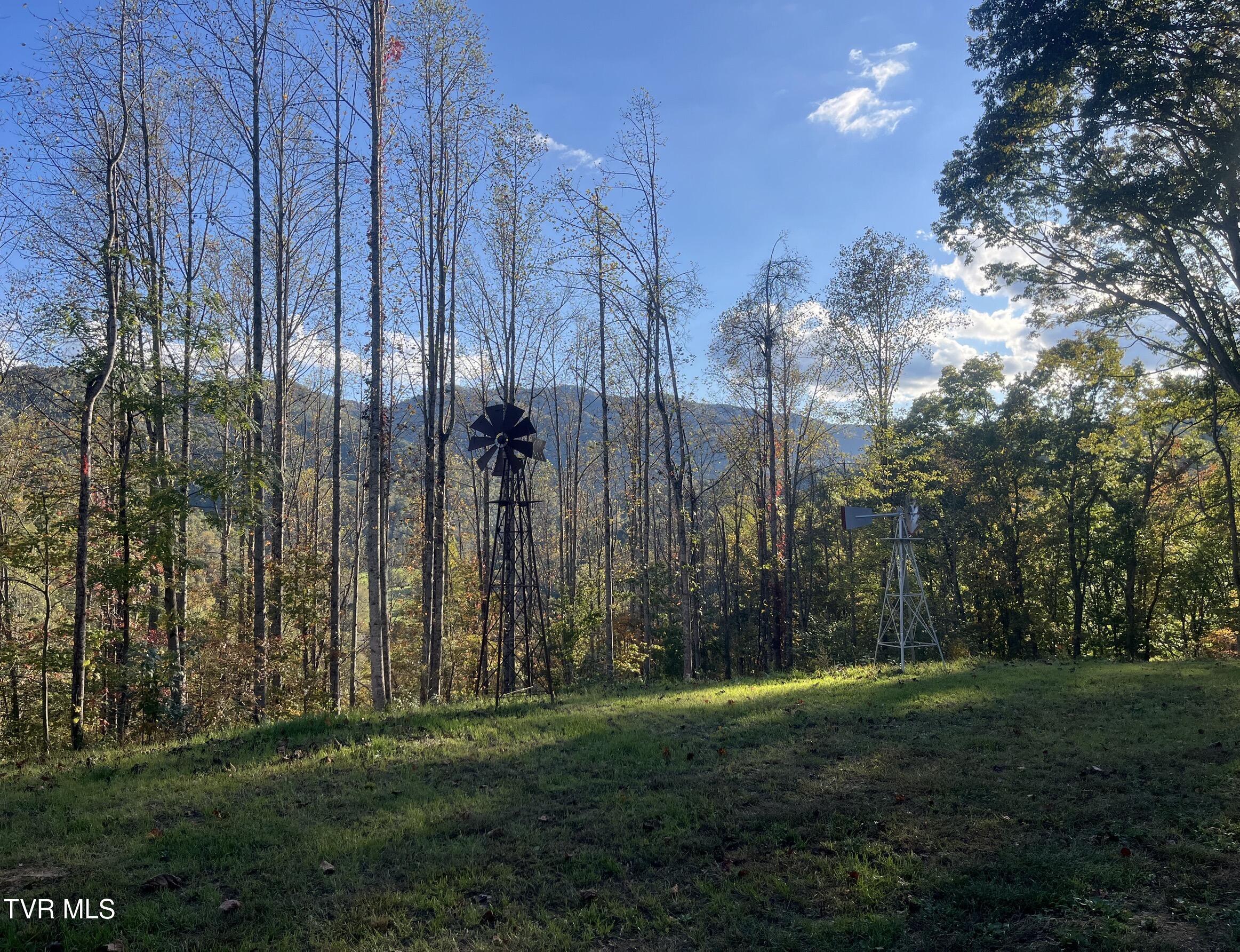 Image 3: IMG_0745