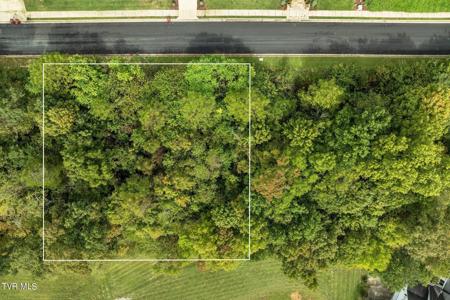 Lot 91 Ridgetop Drive
