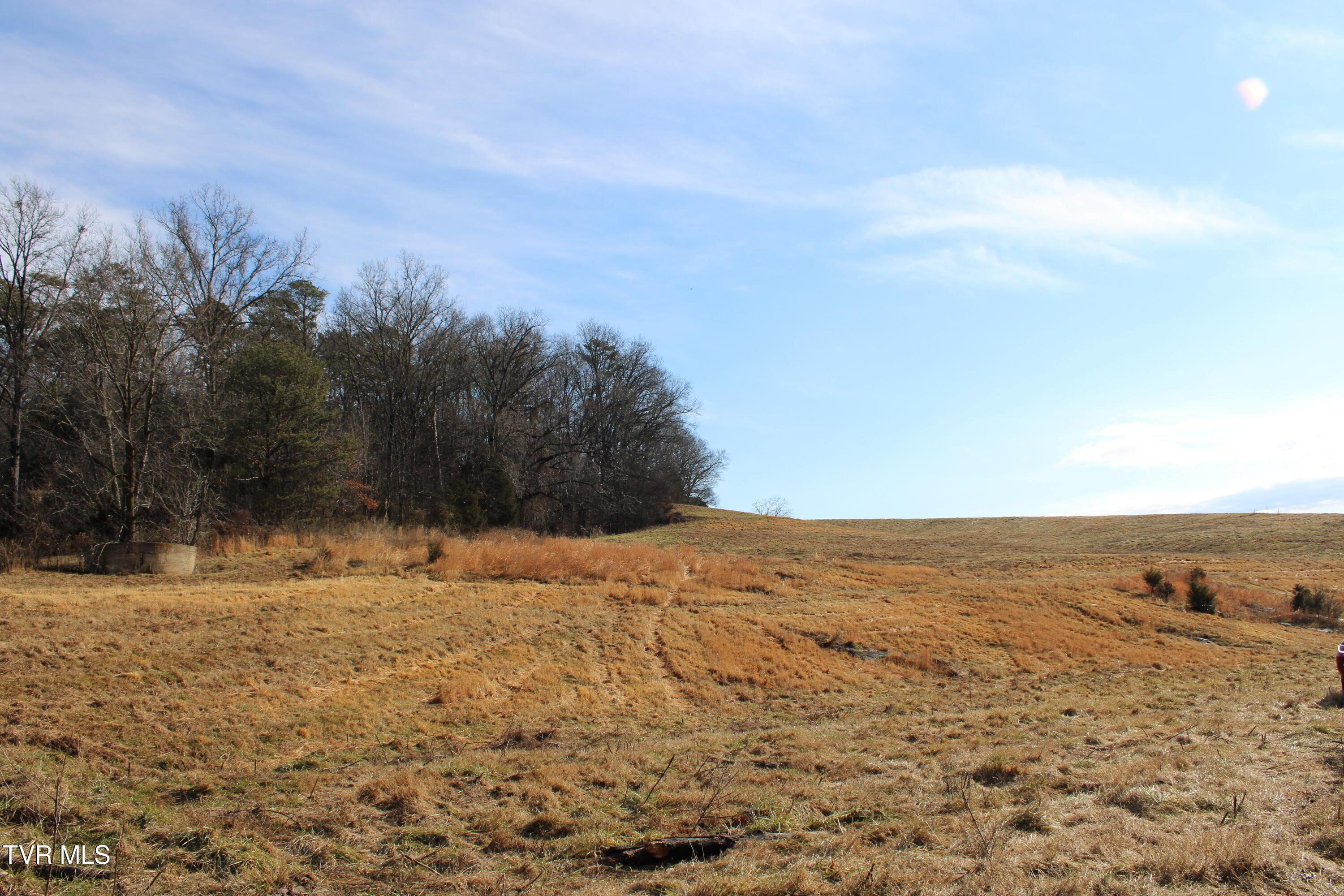 Image 3: IMG_0324