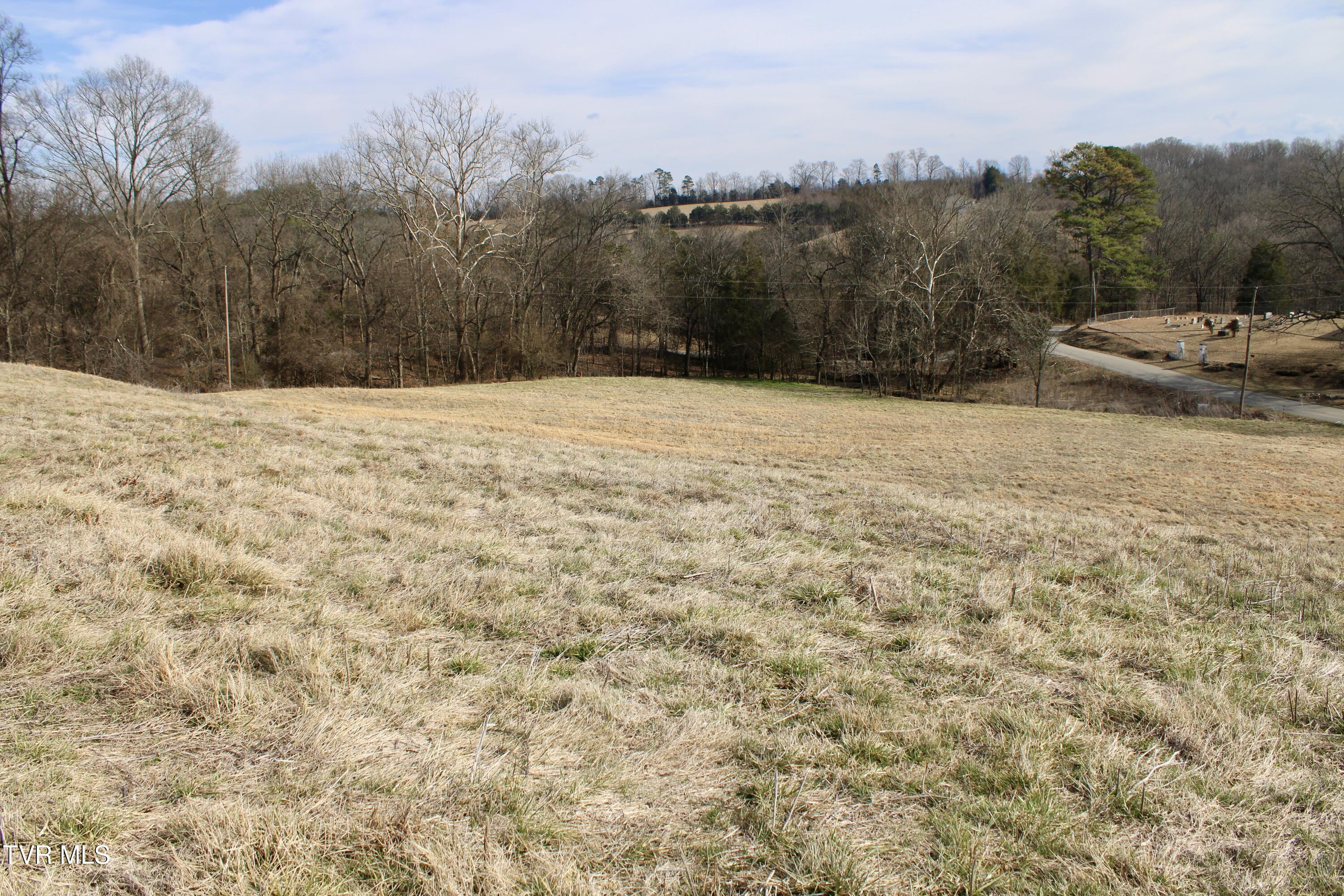Image 4: IMG_0143