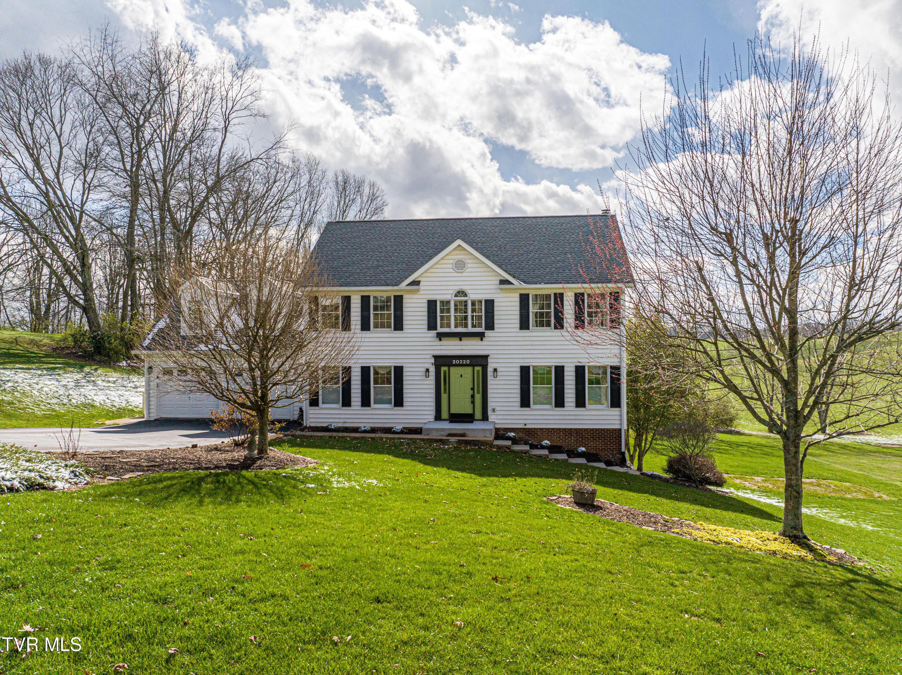 Image 2: Colony -082