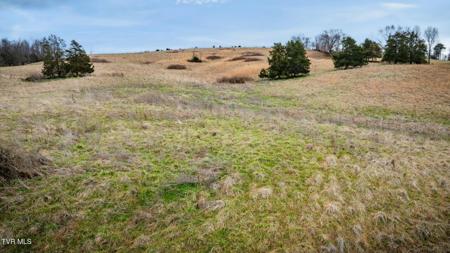 Tbd Sand Valley Road